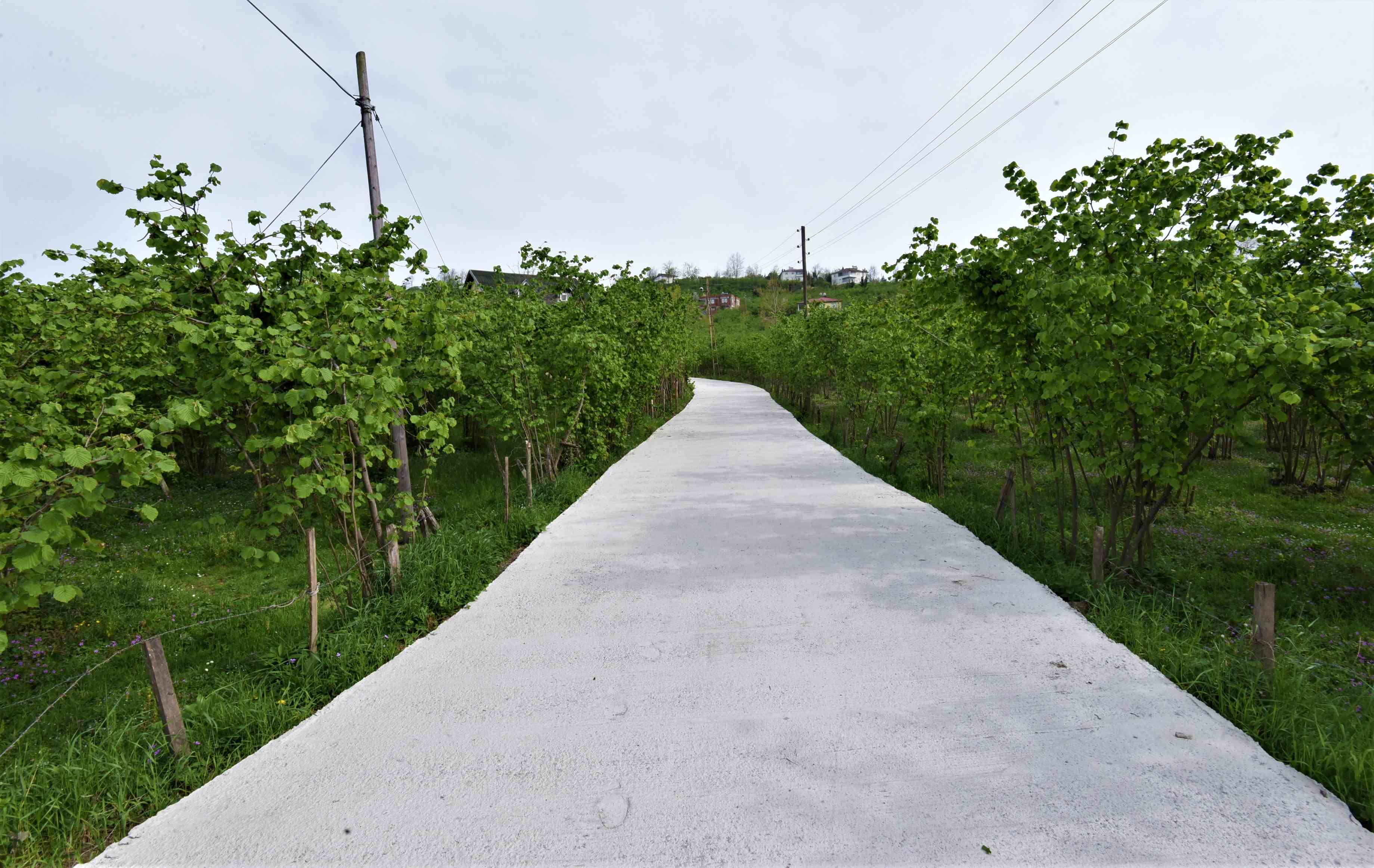 33 MAHALLE BETON YOLA KAVUŞTU